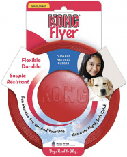 kong-flyer-small