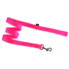Νάιλον οδηγός σκύλου σε πολλά χρώματα - Pet Interest Single Layer Leash Medium 2*120cm φωσφοριζέ πράσινο