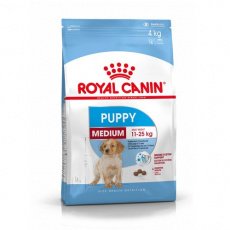 rc-medium-puppy