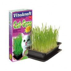 Δισκάκι με υπόστρωμα και σπόρους για καλλιέργεια γρασιδιού για το στομάχι της γάτας - Vitakraft Cat Grass 120g