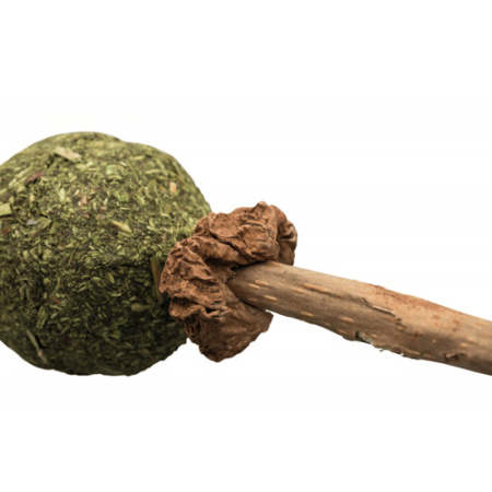 glifitzouri-gia-gata-me-katnip-papillon-matatabi-lollipop-catnip-ball_2