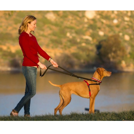 Σαμαράκι σκύλου για έλεγχο του τραβήγματος - Halti Front Control Harness Medium