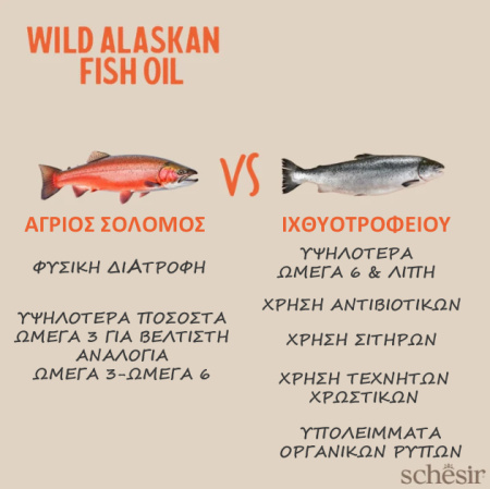 ladi-agriou-solomou-gia-katoikidia-grizzly-alaskan-fish-oil