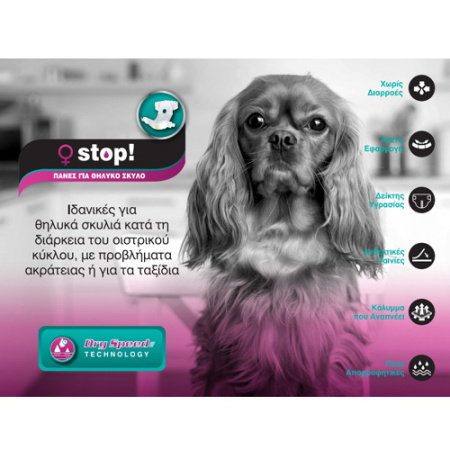 panes-vrakakia-gia-thilika-skilia-stop-female-dog-diapers