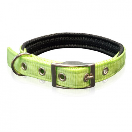 Νάιλον περιλαίμιο σκύλου με μεταλλική αγκράφα και μαλακή επένδυση - Pet Interest XSmall 1.6*35cm ανοιχτό πράσινο