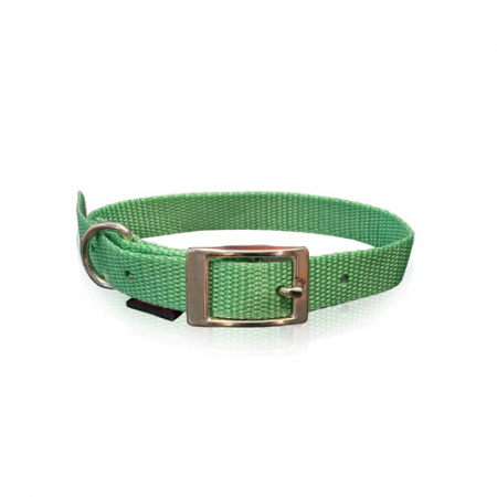 Νάιλον περιλαίμιο σκύλου με μεταλλική αγκράφα σε πολλά χρώματα - Pet Interest XSmall 1*30cm πράσινο