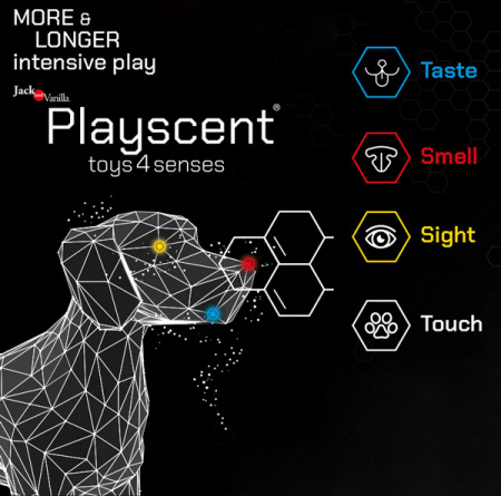 Παιχνίδια σκύλου Playscent Toys 4 Senses