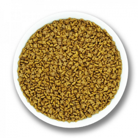 Ξηρά τροφή ανάπτυξης για γατάκια με αρνί και ρύζι - ProChoice Kitten Lamb & Rice 2kg