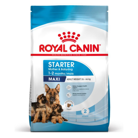 Ξηρά τροφή απογαλακτισμού για κουτάβια και τις μητέρες τους μεγαλόσωμων φυλών 26-44kg - Royal Canin Maxi Starter Mother & Babydog 