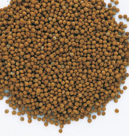 Τροφή σε κόκκους για χρυσόψαρα και άλλα ψάρια κρύου νερού - Tetra Goldfish Granules 32g/100ml