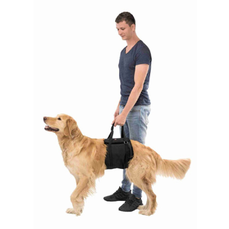 Βοηθητικό σαμαράκι υποστήριξης σκύλου για το πίσω μέρος - Trixie Lifting Aid Medium