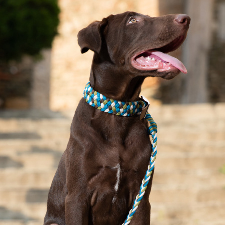 Πολύχρωμο πλεκτό περιλαίμιο σκύλου ποιότητας και αντοχής από σχοινί Paracord - Unicord Color Party