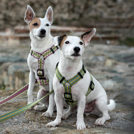 Χακί σαμαράκι σκύλου από οργανικό βαμβάκι - Unicord Intarsia Khaki Harness