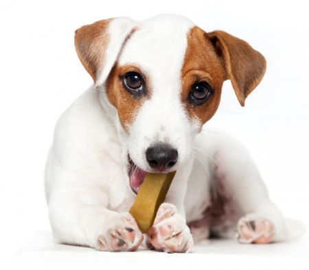 Σκληρή λιχουδιά για τα δόντια του σκύλου από φυσικό γάλα Yak - Yakers Dog Chew