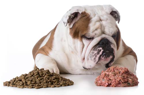 ξηρά τροφή σκύλου ή μαγειρευτό φαγητό